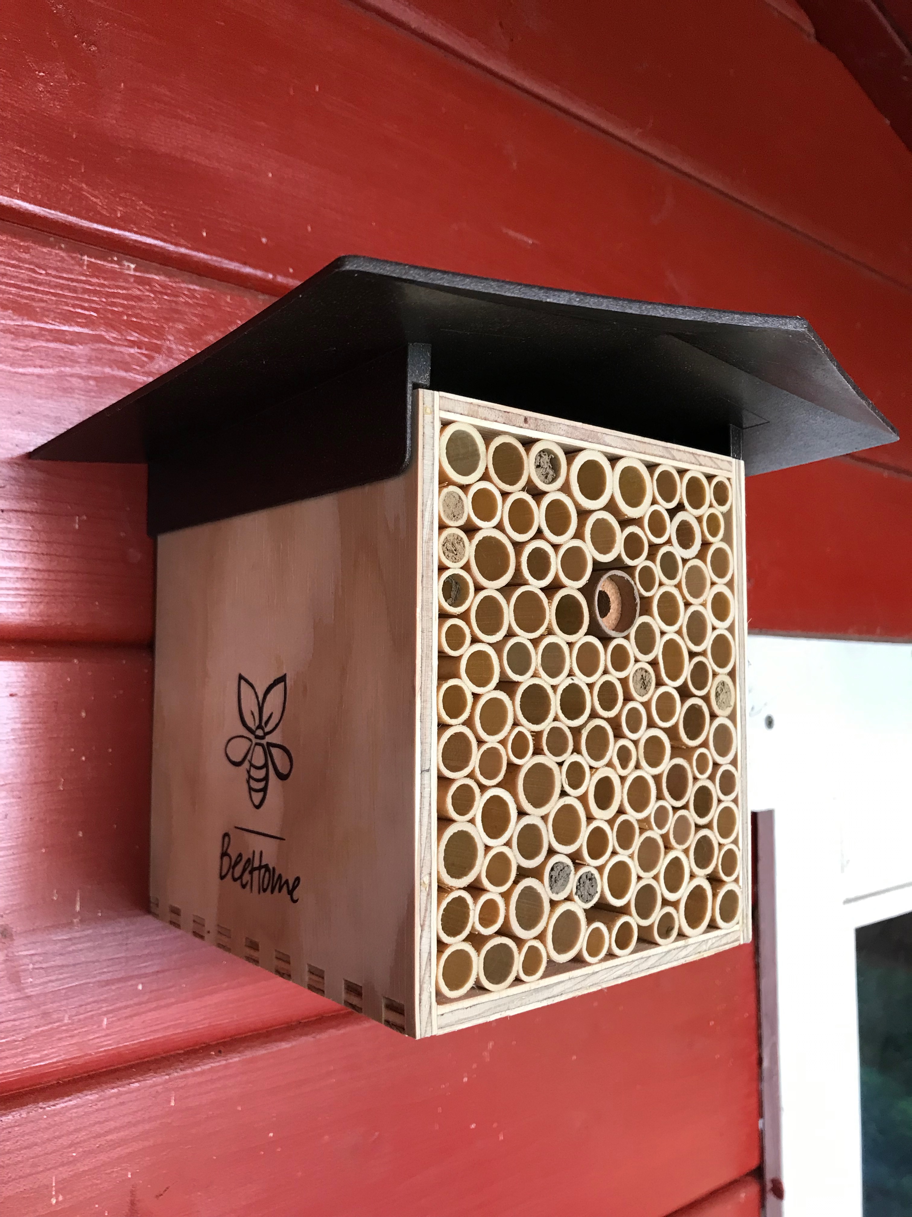 Wildbienen Nest an einer roten Hütte - Bienenschutz