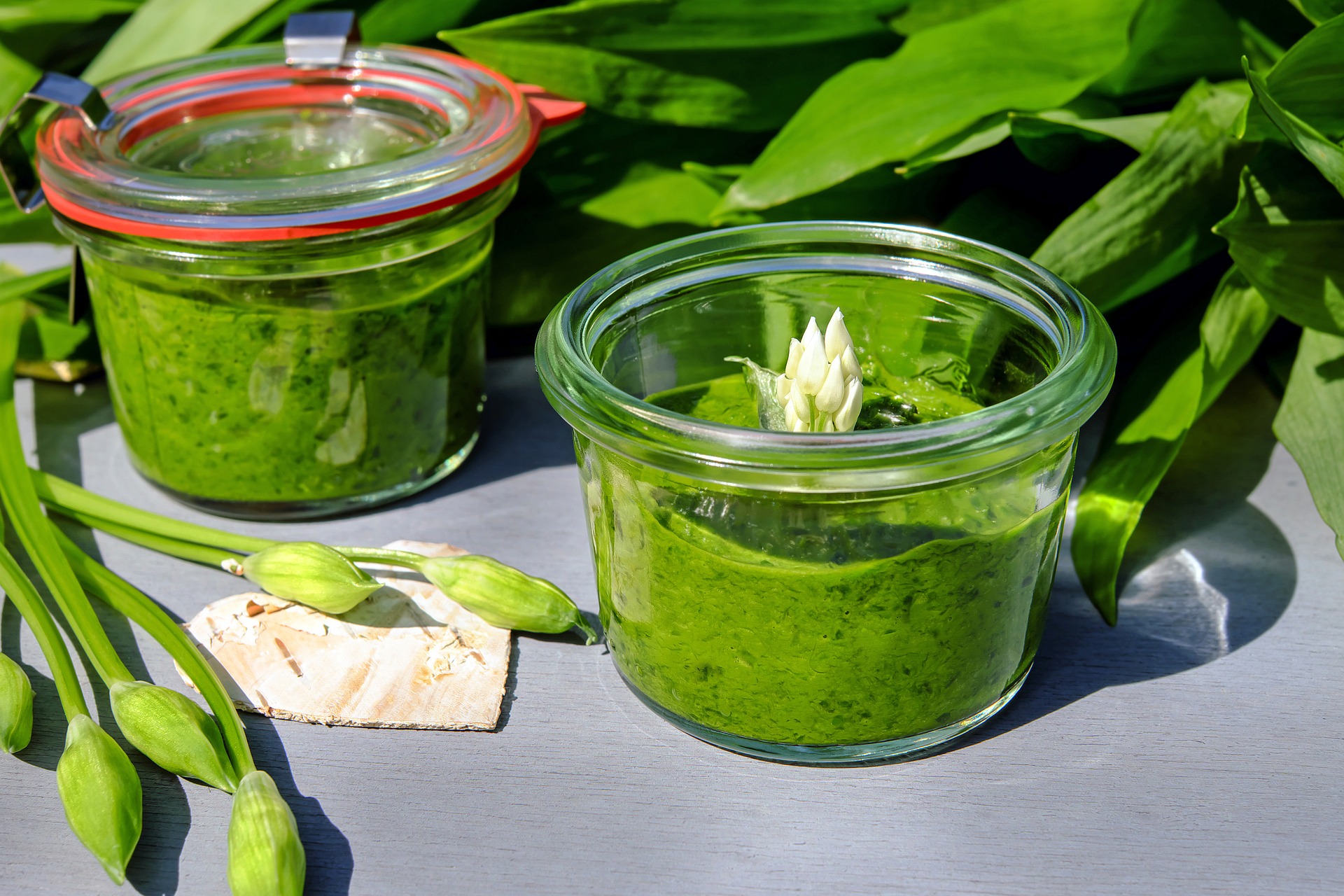 Kressepesto mit Pflanzen im Hintergrund